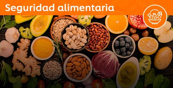 Conoce todo sobre seguridad alimentaria I Unilever Food Solutions