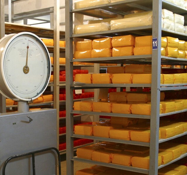 ¡Optimiza el Espacio de Almacenaje! 