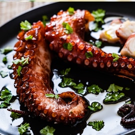 PULPO PULPO