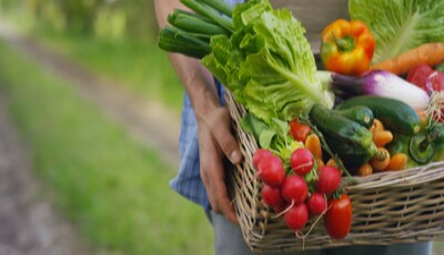 Persona sosteniendo una canasta con alimentos. Persona sosteniendo una canasta con alimentos.