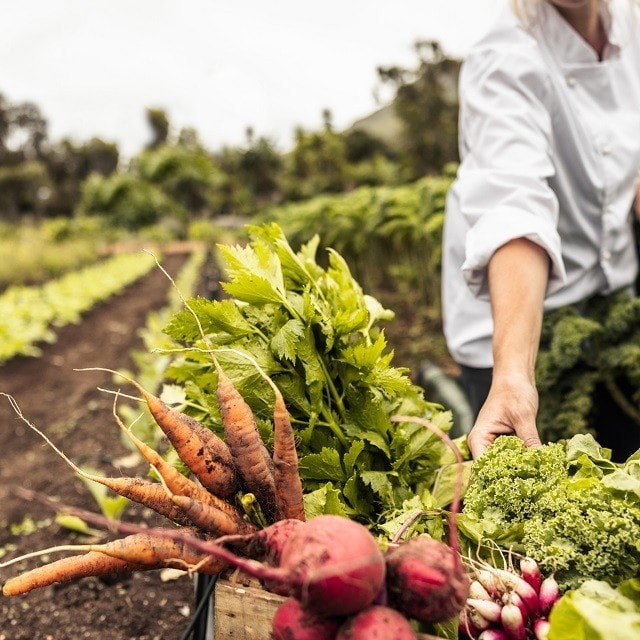 3 soluciones sostenibles para restaurantes: descubre los beneficios