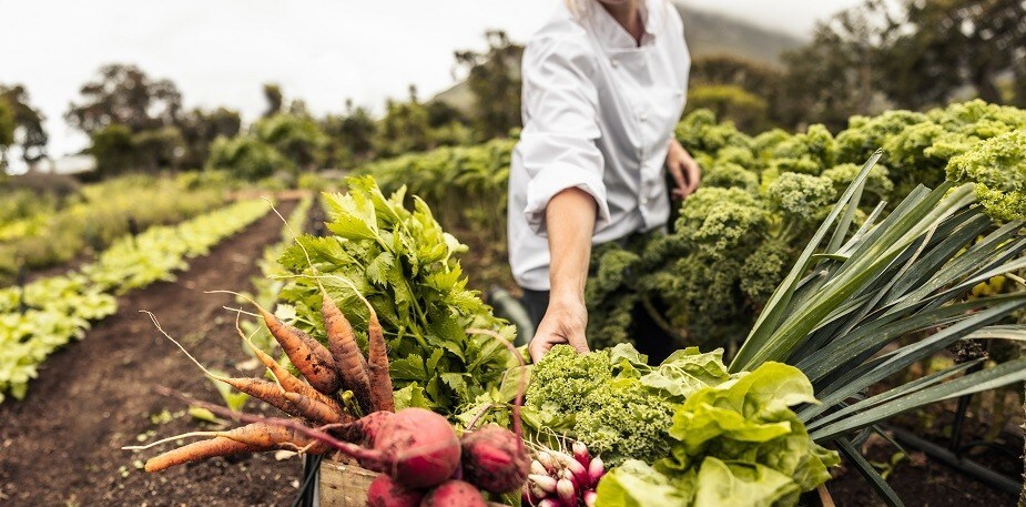 3 soluciones sostenibles para restaurantes: descubre los beneficios