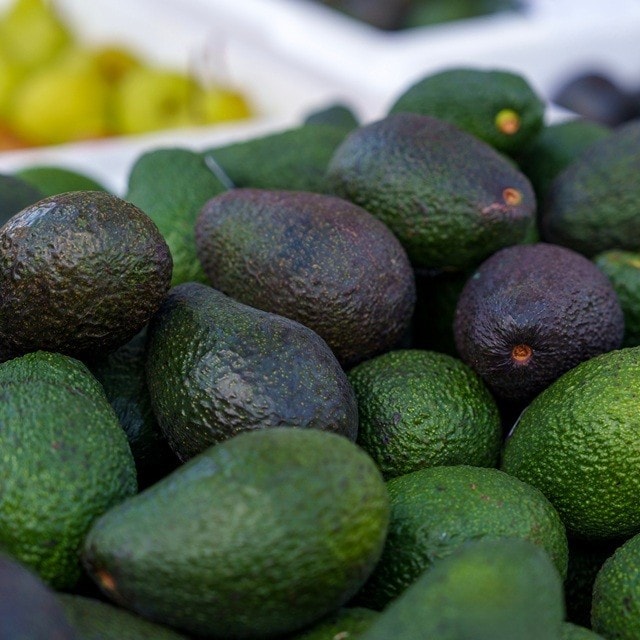 Aguacate: conoce todo sobre este ingrediente infaltable de la comida Aguacate: conoce todo sobre este ingrediente infaltable de la comida
